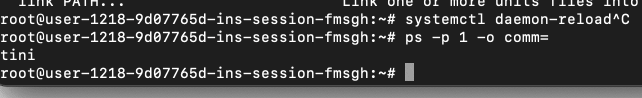 image-20250227031213369